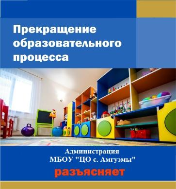 О приостановке образовательной деятельности по программам дошкольного образования в дошкольном отделении организации 