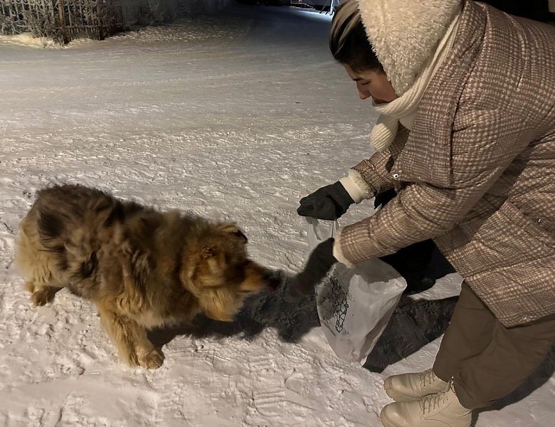 ЧЕЛОВЕК СОБАКЕ ДРУГ