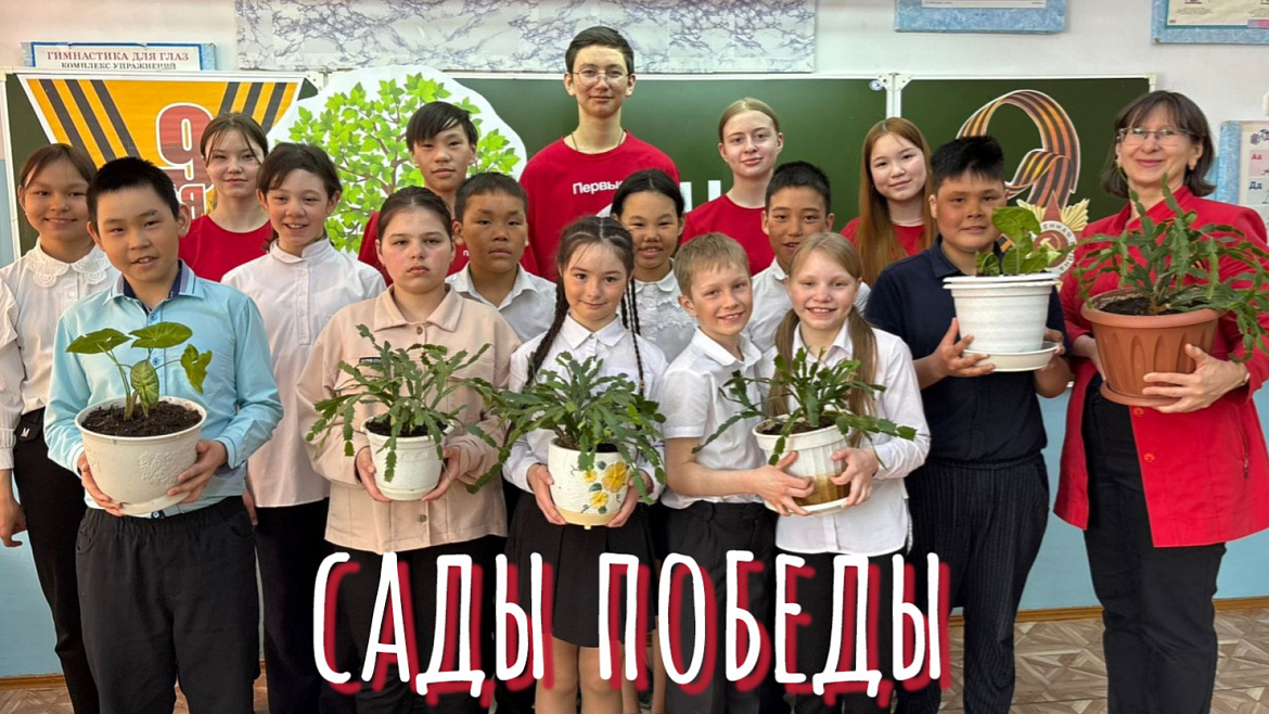 САДЫ ПОБЕДЫ