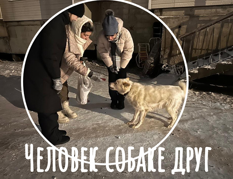ЧЕЛОВЕК СОБАКЕ ДРУГ